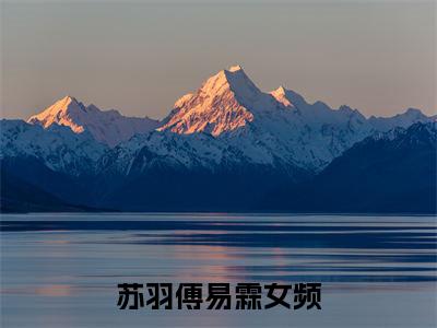 苏羽傅易霖（苏羽傅易霖）全文免费阅读无弹窗_苏羽傅易霖最新小说_笔趣阁（苏羽傅易霖）