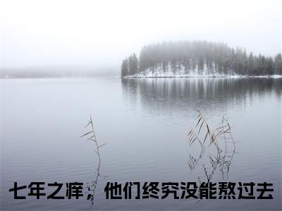 七年之痒，他们终究没能熬过去免费唐念顾司岸读无弹窗最新章节列表_笔趣阁（七年之痒，他们终究没能熬过去）