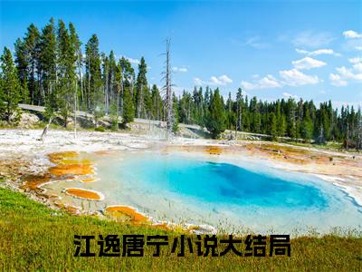 江逸唐宁（江逸唐宁）全文免费阅读无弹窗大结局_(江逸唐宁小说免费阅读)最新章节_笔趣阁