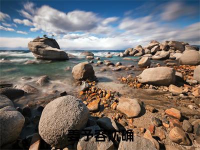 姜予容沈确（姜予容沈确）全文免费阅读无弹窗大结局_姜予容沈确全文免费阅读