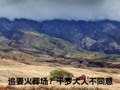 叶晚棠裴渡（追妻火葬场？千岁大人不同意）全文免费阅读无弹窗完整版，(叶晚棠裴渡)免费阅读全文最新章节列表_笔趣阁
