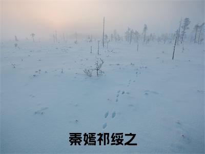 美文秦嫣祁绥之大结局小说-小说（秦嫣祁绥之）免费分享