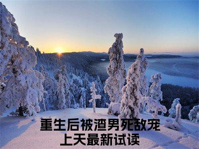 《重生后被渣男死敌宠上天》全文免费阅读无弹窗大结局-叶可心凌天尧无弹窗阅读