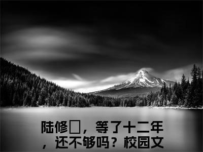 陆修璟，等了十二年，还不够吗？小说全文免费阅读_（陆修璟，等了十二年，还不够吗？）慕辰星陆修璟最新章节列表笔趣阁