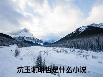 沈玉谢明哲小说（沈玉谢明哲）全文免费阅读无弹窗_沈玉谢明哲小说最新章节免费阅读_笔趣阁