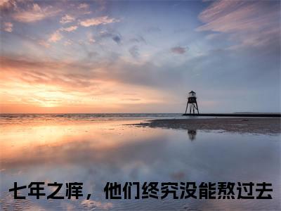 唐苒苒顾若修全文免费阅读全文免费阅读无弹窗大结局_七年之痒，他们终究没能熬过去全文免费阅读