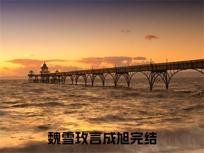 魏雪玫言成旭小说(魏雪玫言成旭）小说全文免费魏雪玫言成旭读无弹窗大结局