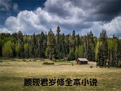 顾砚君岁修全文免费完整版,顾砚君岁修最新章节完整版阅读