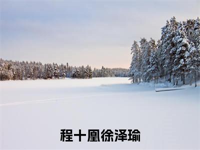 程十凰徐泽瑜阅读无弹窗大结局_（程十凰徐泽瑜阅读无弹窗）最新章节列表_笔趣阁（程十凰徐泽瑜）