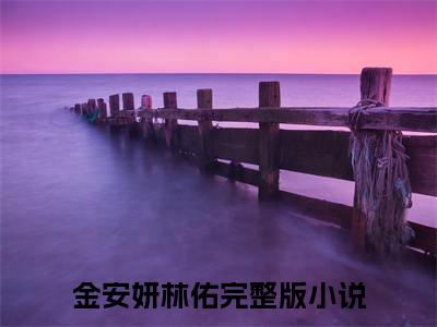 金安妍林佑免费阅读无弹窗（金安妍林佑）全文免费阅读无弹窗大结局_金安妍林佑最新章节列表_笔趣阁（金安妍林佑）