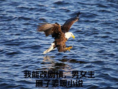 我能改剧情，男女主麻了姜暖（我能改剧情，男女主麻了姜暖）全文免费阅读无弹窗大结局-我能改剧情，男女主麻了姜暖最新章节列表-笔趣阁