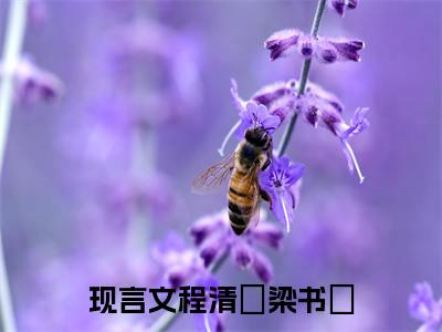 程清玙梁书媞全网首发最新小说主角程清玙梁书媞全文在线免费阅读