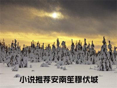 安南笙穆伏城全文免费阅读无弹窗大结局-安南笙穆伏城全文在线阅读