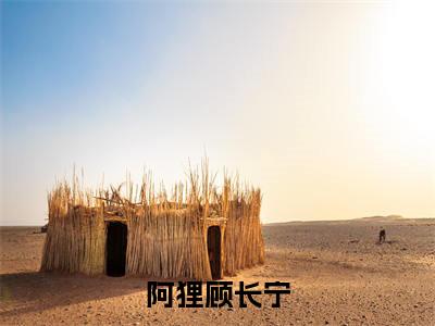 阿狸顾长宁小说（阿狸顾长宁）全文免费阅读无弹窗大结局_阿狸顾长宁小说最新章节列表_笔趣阁（阿狸顾长宁）