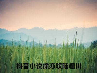 精选好书徐亦欢陆檀川全文免费阅读无弹窗大结局_（徐亦欢陆檀川）最新章节列表_笔趣阁（徐亦欢陆檀川小说）