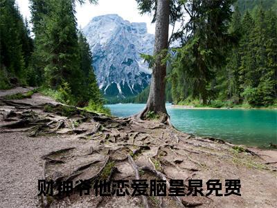 财神爷他恋爱脑星泉抖音新上热文分享财神爷他恋爱脑星泉-小说全文阅读