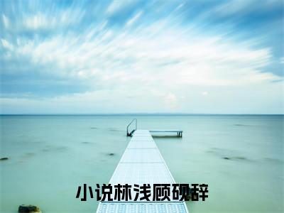 林浅顾砚辞小说大结局全文免费阅读-小说排行榜top1小说全文阅读