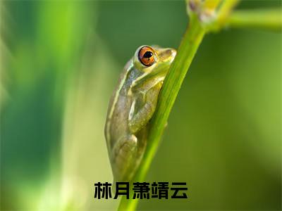 林月萧靖云全网首发完整小说主角林月萧靖云在线阅读