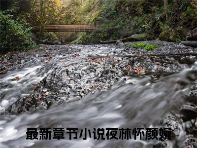 夜林怀颜婉（夜林怀颜婉）小说全文免费阅读无弹窗大结局_（夜林怀颜婉）小说全文免费阅读最新章节列表笔趣阁