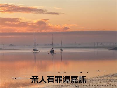 亲人有罪谭嘉烁小说全文免费阅读(亲人有罪谭嘉烁)全文免费阅读无弹窗大结局_ 亲人有罪谭嘉烁最新章节列表_笔趣阁（亲人有罪谭嘉烁小说）