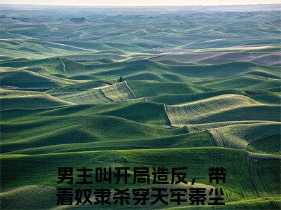 开局造反，带着奴隶杀穿天牢秦尘小说（开局造反，带着奴隶杀穿天牢秦尘全文完整版免费阅读）_开局造反，带着奴隶杀穿天牢秦尘小说免费最新章节列表