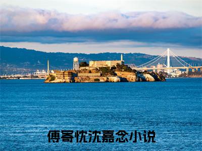 傅寄忱沈嘉念（傅寄忱沈嘉念）全文免费阅读无弹窗大结局_傅寄忱沈嘉念免费阅读无弹窗