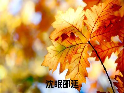 沈眠邵延(沈眠邵延)全文免费阅读大结局_沈眠邵延免费在线阅读_笔趣阁（沈眠邵延）