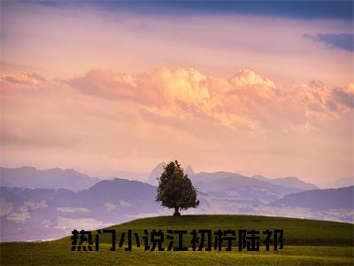江初柠陆祁小说（江初柠陆祁）全文免费阅读无弹窗大结局_江初柠陆祁最新章节列表_笔趣阁