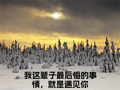 （李韵笙云赫）我这辈子最后悔的事情，就是遇见你小说全文免费阅读无弹窗大结局_我这辈子最后悔的事情，就是遇见你（李韵笙云赫）最新章节列表笔趣阁