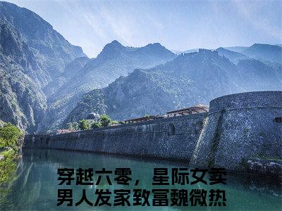 穿越六零，星际女卖男人发家致富魏微（穿越六零，星际女卖男人发家致富魏微）全文免费阅读无弹窗大结局_（穿越六零，星际女卖男人发家致富魏微全文免费阅读无弹窗）穿越六零，星际女卖男人发家致富魏微最新章节列表_笔趣阁（穿越六零，星际女卖男人发家致富魏微）