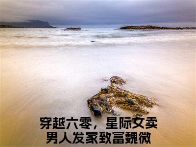 《穿越六零，星际女卖男人发家致富魏微》穿越六零，星际女卖男人发家致富魏微无弹窗阅读_穿越六零，星际女卖男人发家致富魏微最新章节列表_笔趣阁