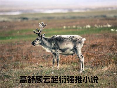 高舒颜云起衍（高舒颜云起衍）小说全文免费阅读_（高舒颜云起衍）小说全文无删减版在线阅读