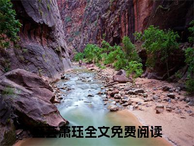 盛芸萧珏（盛芸萧珏）全文在线阅读无弹窗大结局_（盛芸萧珏全文在线阅读无弹窗）盛芸萧珏最新章节列表_笔趣阁（盛芸萧珏）