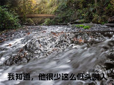 阮南梨盛京燃（我知道，他很少这么低头哄人）小说全文无删减版_阮南梨盛京燃最新章节列表_笔趣阁（我知道，他很少这么低头哄人）