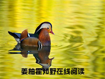 姜柚霍知野今天也是非人类小说-姜柚霍知野小说免费阅读