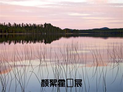 颜絮霍璟宸（他的禁区）小说免费阅读-颜絮霍璟宸（他的禁区）已完结全集大结局小说