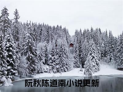 阮秋陈道南（阮秋陈道南）高质量小说推荐阅读-最新小说阮秋陈道南全文阅读