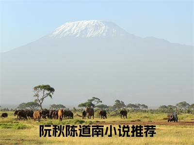 阮秋陈道南（阮秋陈道南）小说全文免费阅读无弹窗大结局_阮秋陈道南（阮秋陈道南无弹窗）最新章节列表笔趣阁（阮秋陈道南）