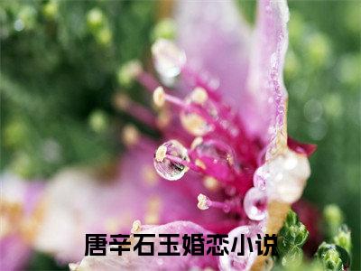 唐辛石玉小说完整版大结局-唐辛石玉小说完结版在线阅读