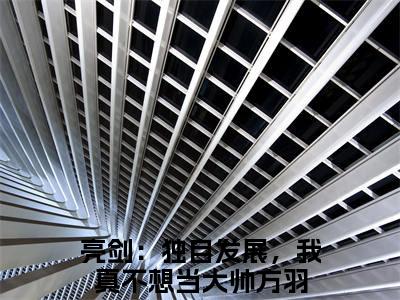 亮剑：独自发展，我真不想当大帅方羽全文免费完整版-亮剑：独自发展，我真不想当大帅方羽小说阅读