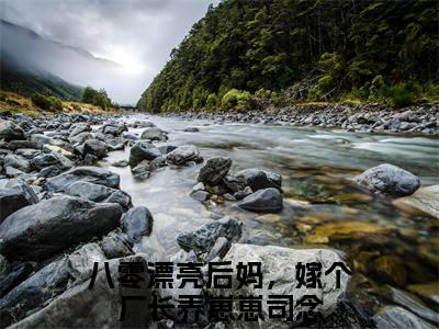 八零漂亮后妈，嫁个厂长养崽崽司念（八零漂亮后妈，嫁个厂长养崽崽司念全章节完整版）免费阅读-八零漂亮后妈，嫁个厂长养崽崽司念全文无删减阅读