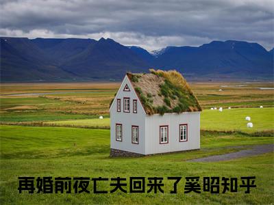 再婚前夜亡夫回来了奚昭最新章节全文阅读再婚前夜亡夫回来了奚昭天完整版小说