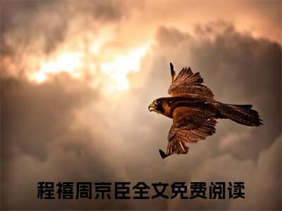 程禧周京臣（程禧周京臣）小说免费阅读完结版-程禧周京臣小说全文免费阅读
