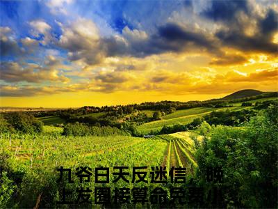 苏眠傅九渊精选小说大结局阅读_（九爷白天反迷信，晚上发圈接算命）苏眠傅九渊免费阅读最新章节列表