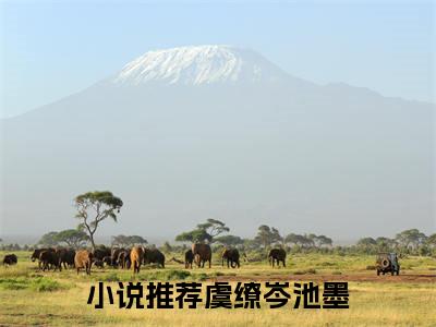 虞缭岑池墨新上热文小说-虞缭岑池墨推荐阅读已完结