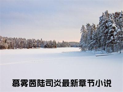 慕雾茵陆司炎（慕雾茵陆司炎）小说全文免费阅读无弹窗-慕雾茵陆司炎小说全文免费阅读大结局笔趣阁