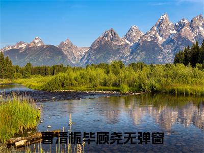 曹清栀毕顾尧精彩章节免费阅读-曹清栀毕顾尧小说完整版