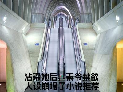 沾染她后，秦爷禁欲人设崩塌了全文免费阅读无弹窗大结局-秦砚之盛玥在线阅读