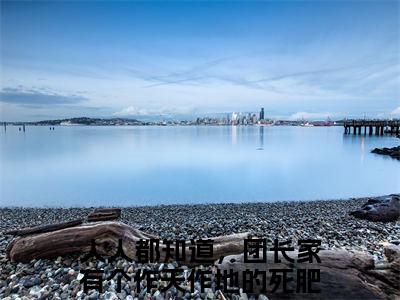 无广告小说田琦芸段言光全文免费阅读无弹窗大结局-人人都知道，团长家有个作天作地的死肥婆川在线阅读