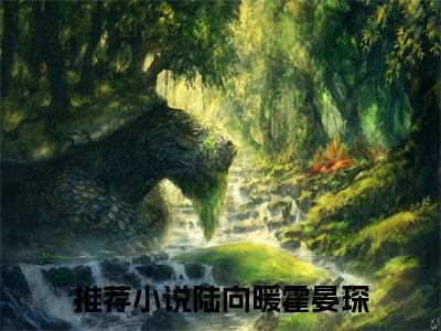 陆向暖霍晏琛小说（陆向暖霍晏琛）全文免费阅读无弹窗_陆向暖霍晏琛全文免费阅读无弹窗最新章节列表